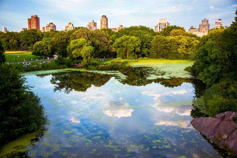 central-park-newyorkmania central park à New York