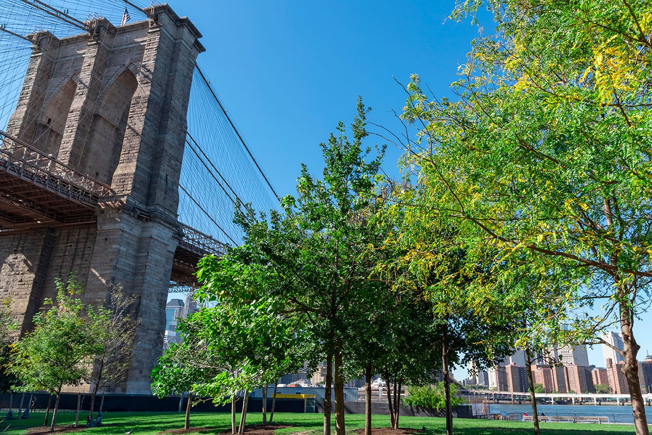 Credit Photo RLTheis via Envato
Itinéraire 5 jours New York, DUMBO Brooklyn